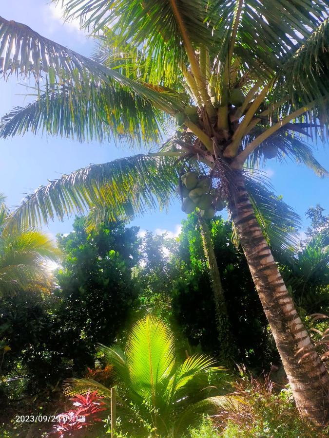 Douceur Des Hauteurs Bas De Villa, Piscine Privee Sainte-Luce Bagian luar foto